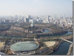 P1010020