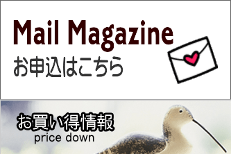 小山通信ショップではメールマガジンでお買い得情報発信中。